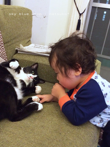 ポッチん便り６