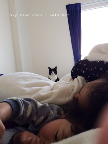 ポッチん便り５