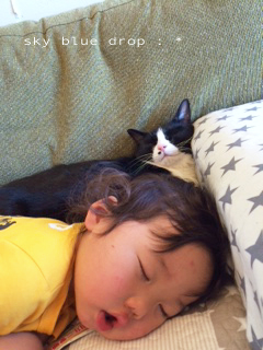 ポッチん便り７