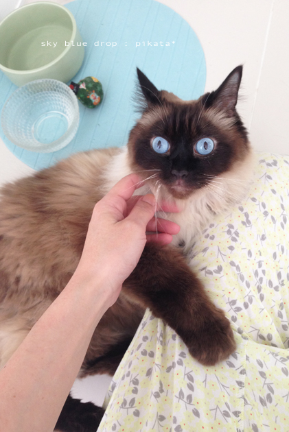 ピカシウム光線