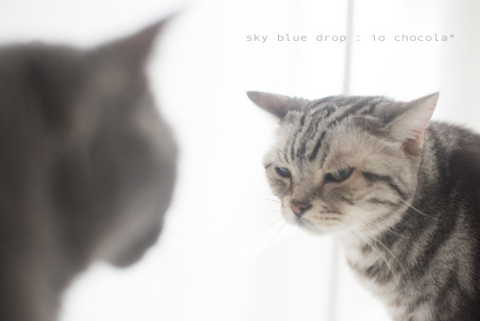 何故か怒っている２