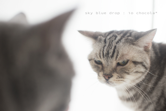 何故か怒っている３