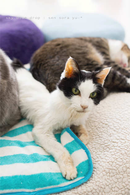 がんばるそらさん