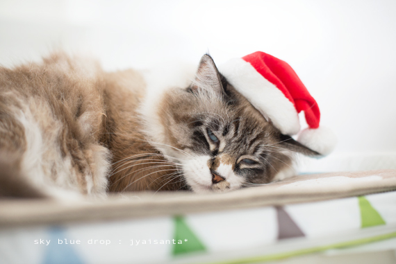 ジャイサンタ２