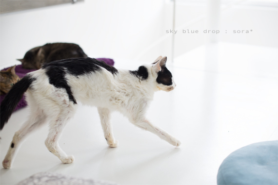 そらさんの様子２