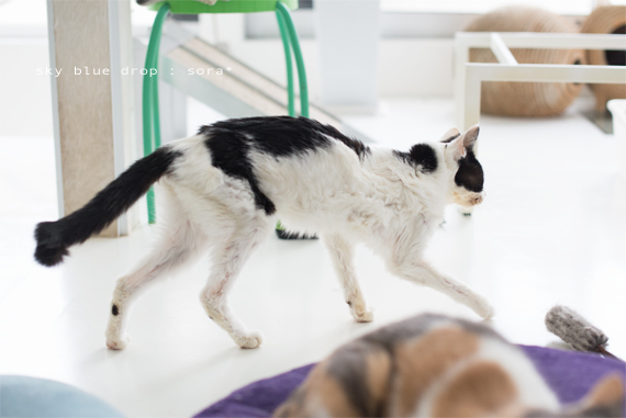 そらさんの様子３