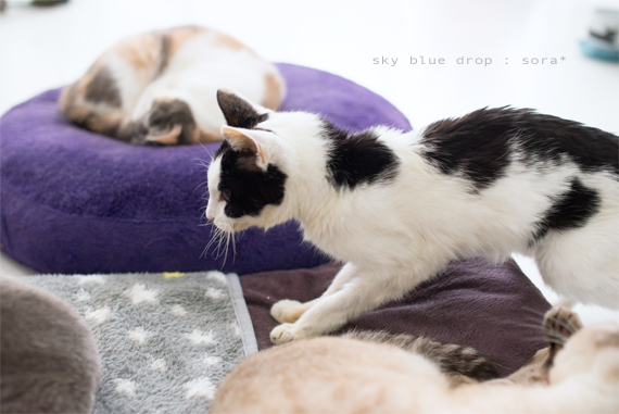 そらさんの様子５