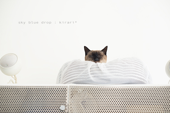 風呂に浸かっているような