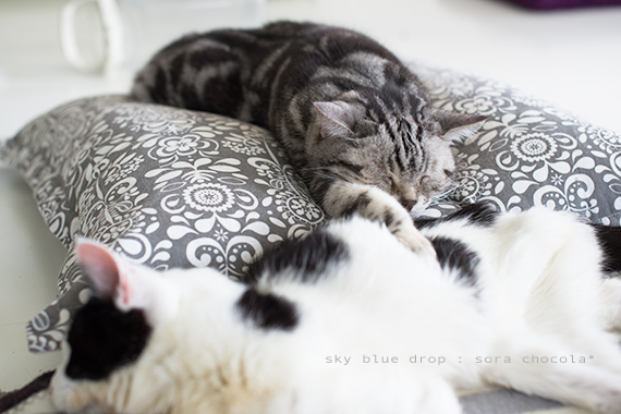 眠れるおまじない