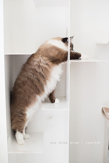 自分との戦い２