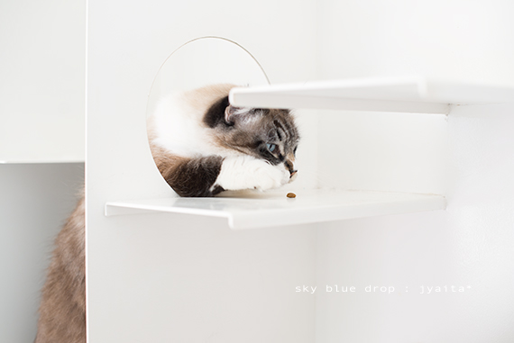 自分との戦い３