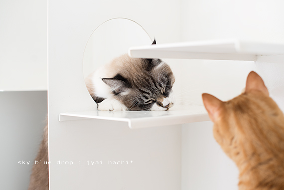 自分との戦い４