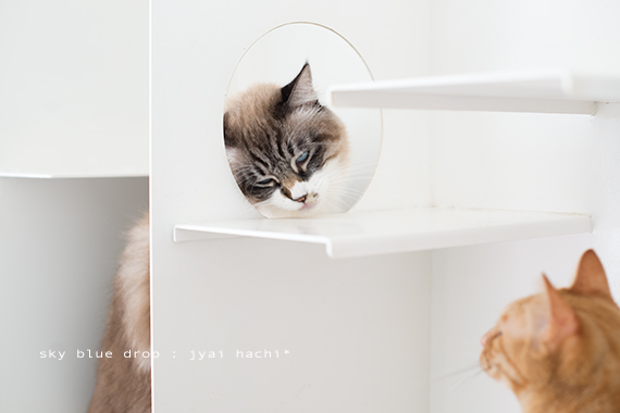 自分との戦い５