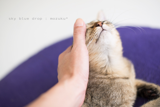 ホントにイイコ。大大大好きだよ。