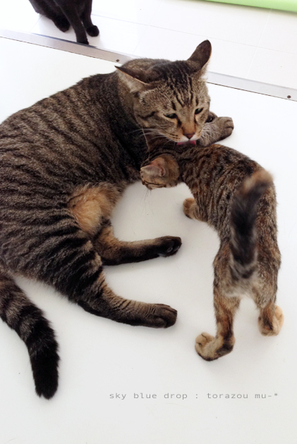 キレイキレイちう