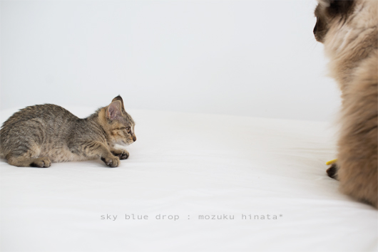 身をひるがえし