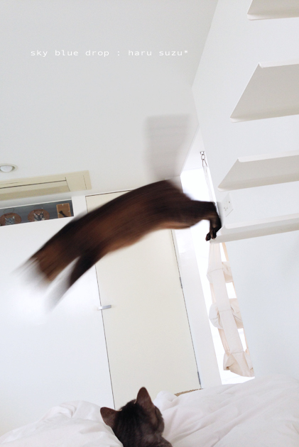 ハイパージャンプ