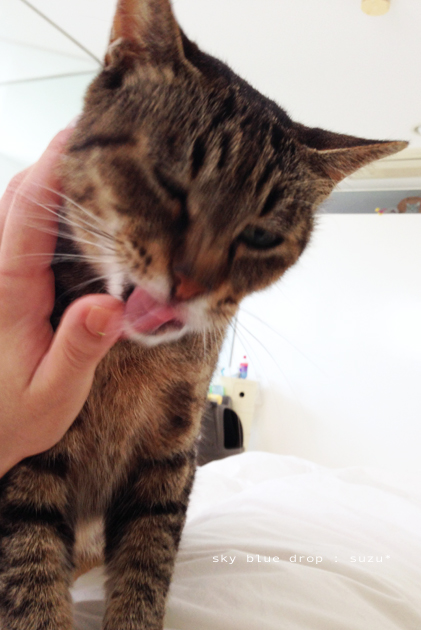 お礼のペロレロ