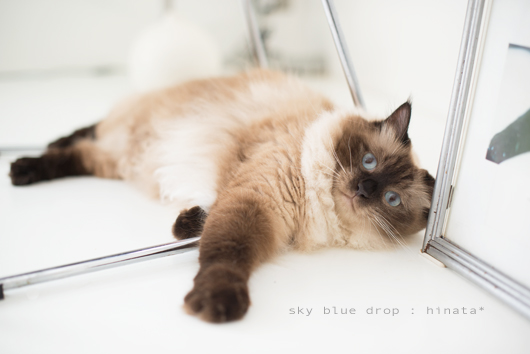 何気にぴーちゃんって呼ばれてます