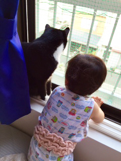 ぽっちんナツコさん２