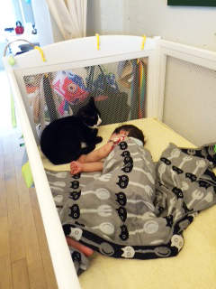 ぽっちんナツコさん５