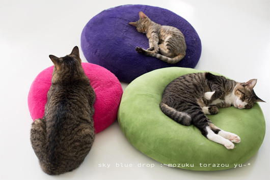 しょんぼりとらぞう