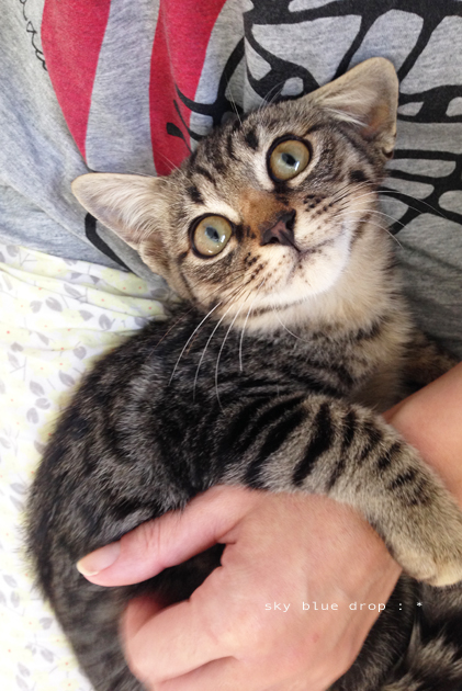 ゴロゴロすりすり