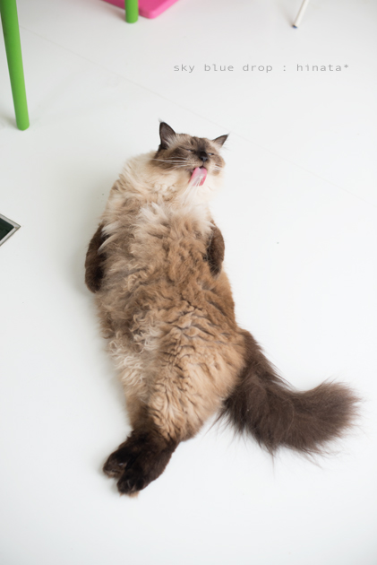 てやてやがうがう