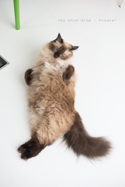 んべーーーーー。