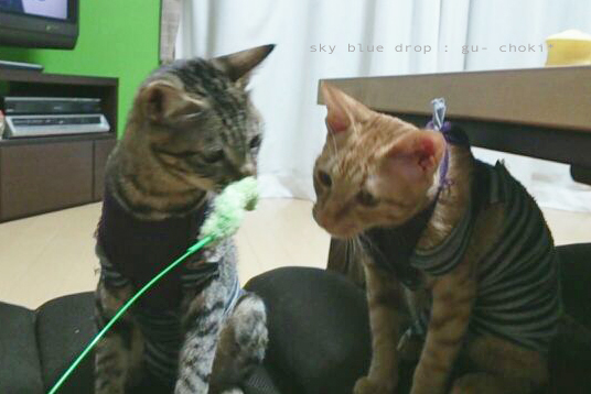 おソロなふたり