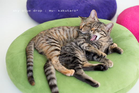 べんべろべろべろ