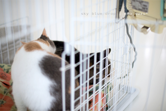 大丈夫？大丈夫？