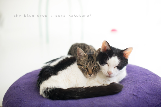 じーじとぼーず３