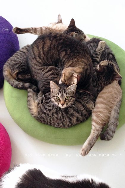 一番上の特等席