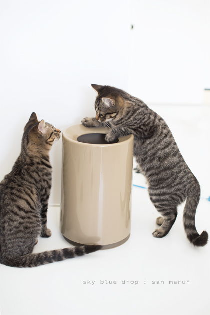 たぶんいいものが入っている２