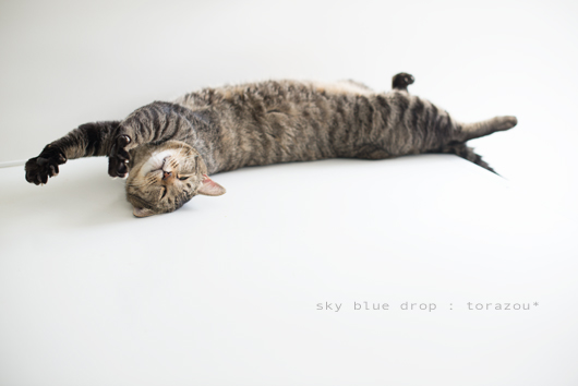 フリフリフリヾ(￣ー￣)ﾉ