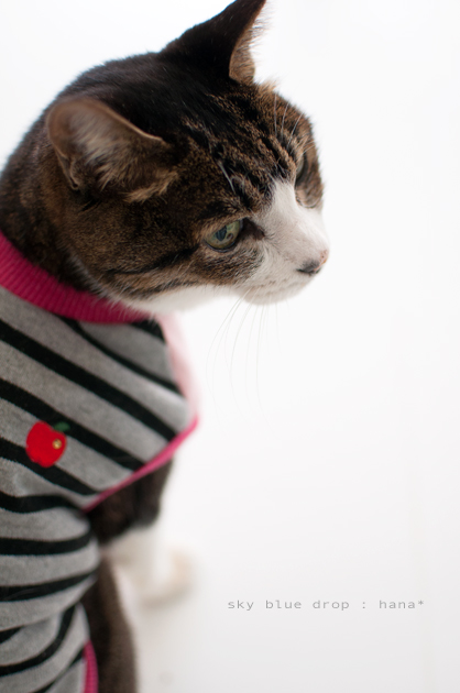 相変わらずめんこい(ＴｗＴ。)