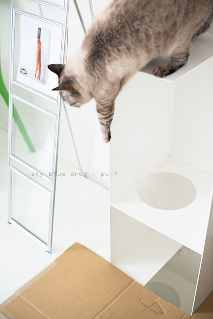 レインボータワー封鎖出来ました