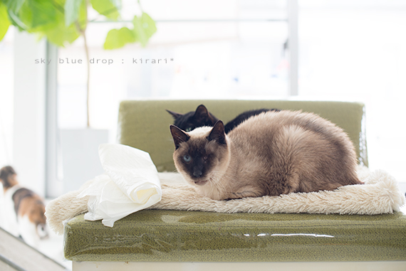 何故そこに？！