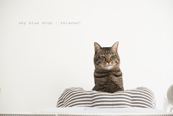 あからさまに不平顔