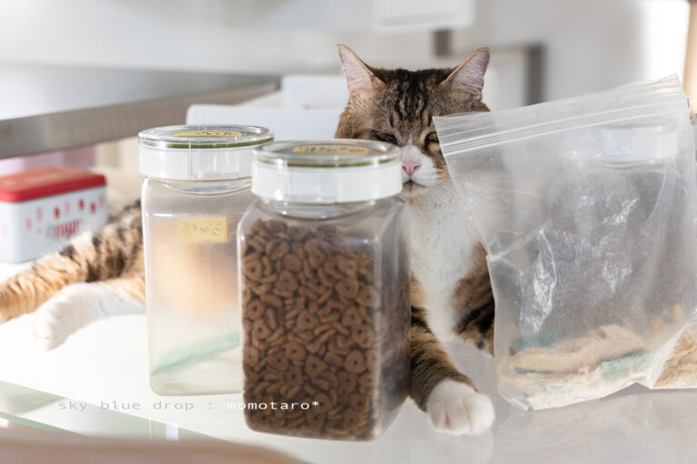 画像に alt 属性が指定されていません。ファイル名: 96340-768x512.jpg