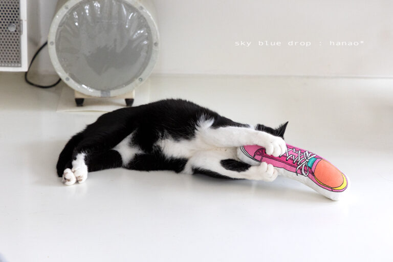 とらねこ様　ご連絡用 Amazon | ペット健康堂 猫除け とげとげシート (透明 8枚入) 猫